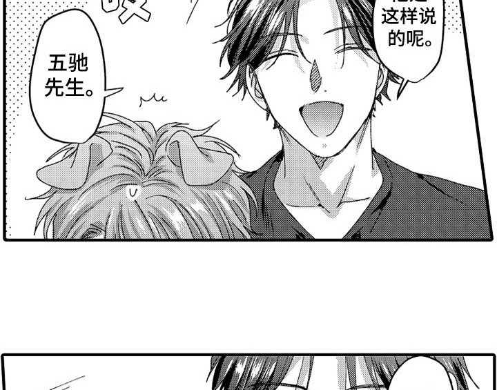 《顽皮的小狗》漫画最新章节第16章：安排免费下拉式在线观看章节第【8】张图片