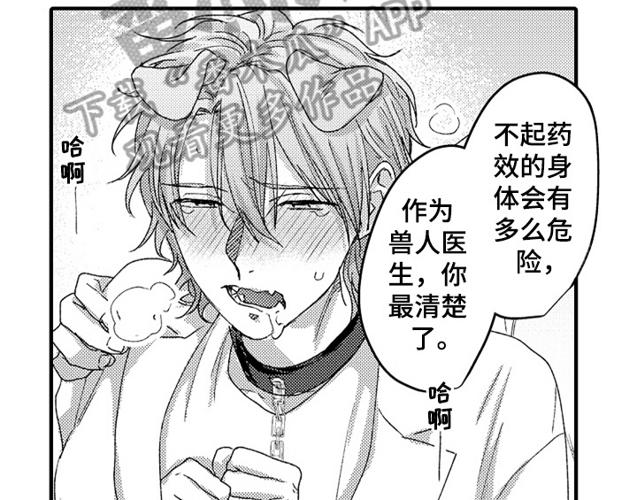 《顽皮的小狗》漫画最新章节第16章：安排免费下拉式在线观看章节第【26】张图片