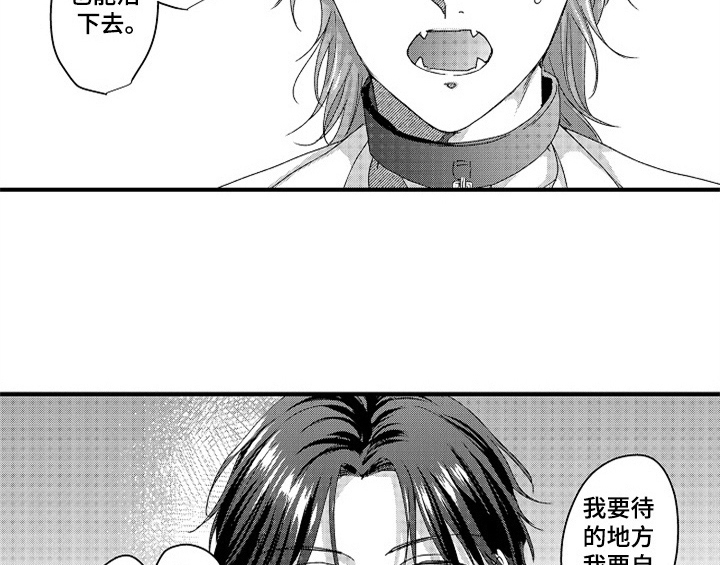 《顽皮的小狗》漫画最新章节第16章：安排免费下拉式在线观看章节第【13】张图片