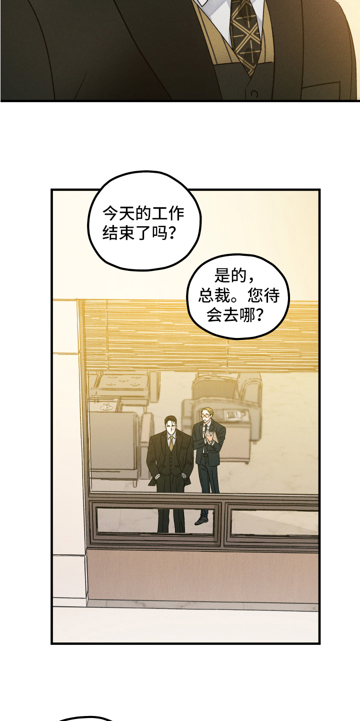 《守护梦星》漫画最新章节第1章：工作免费下拉式在线观看章节第【3】张图片