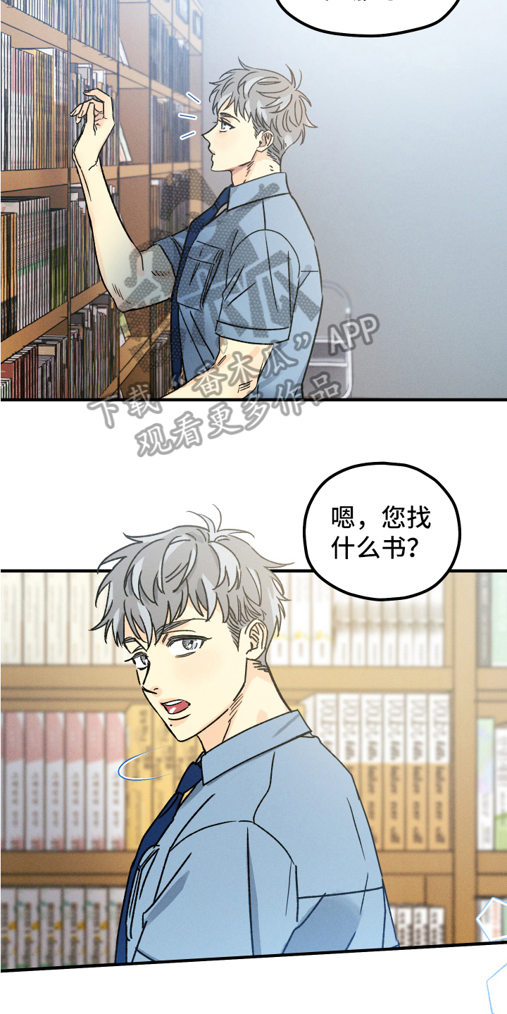 《守护梦星》漫画最新章节第13章：相遇免费下拉式在线观看章节第【9】张图片