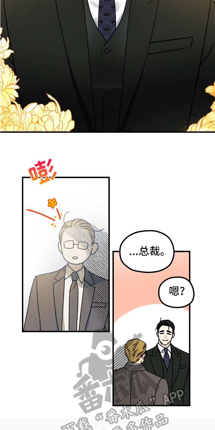 《守护梦星》漫画最新章节第15章：好事免费下拉式在线观看章节第【4】张图片