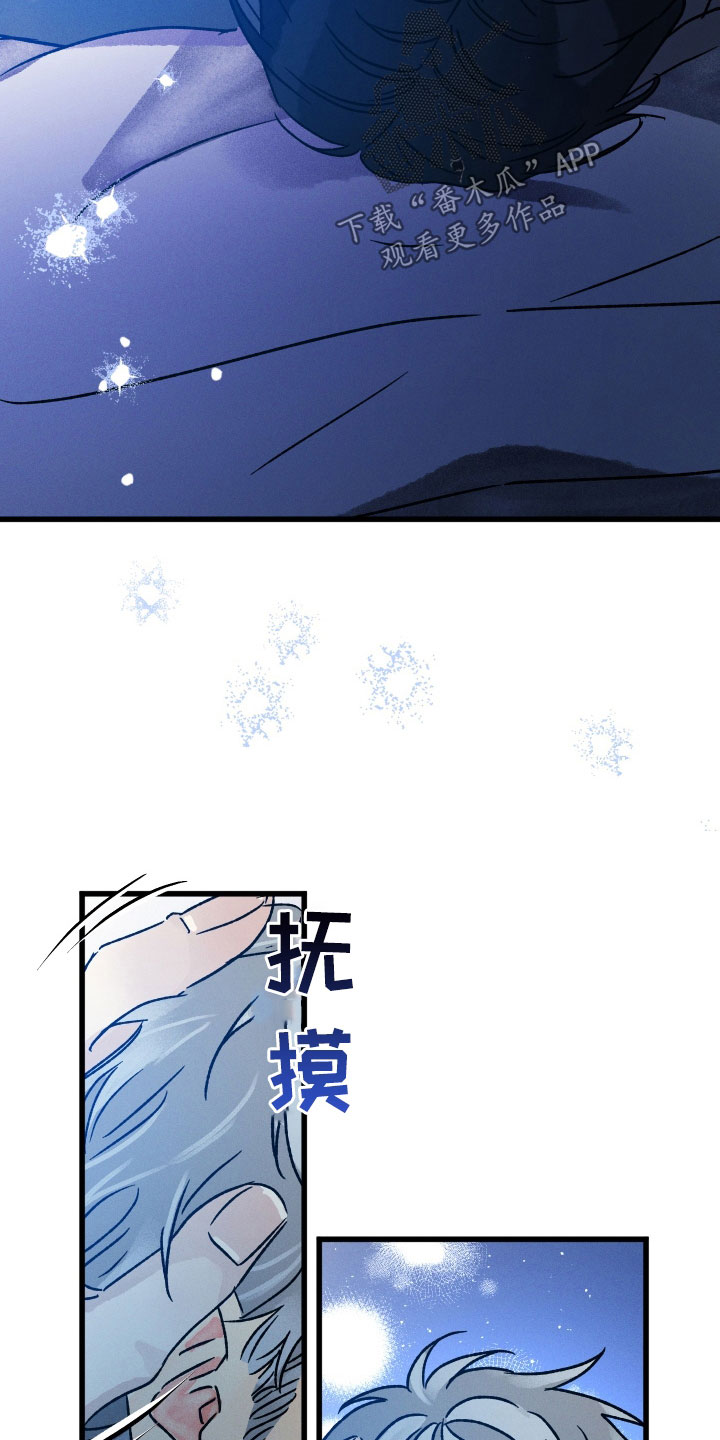 《守护梦星》漫画最新章节第45章：求你醒醒免费下拉式在线观看章节第【3】张图片