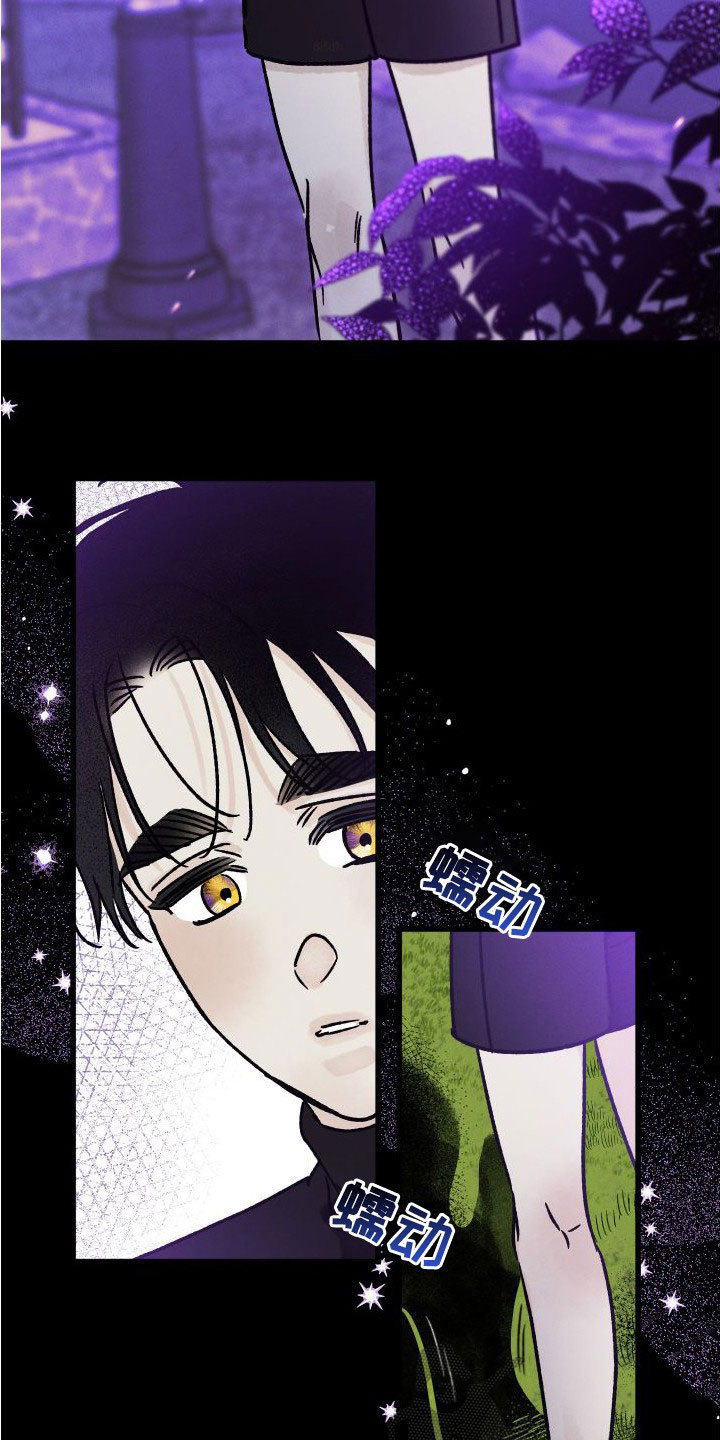 《守护梦星》漫画最新章节第47章：母亲免费下拉式在线观看章节第【4】张图片