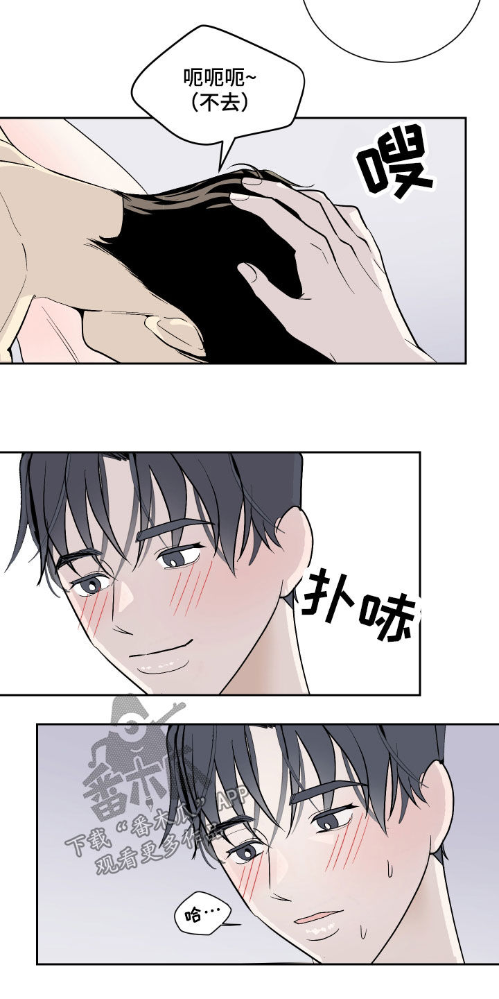 《绿色乐园》漫画最新章节第24章：好消息免费下拉式在线观看章节第【3】张图片