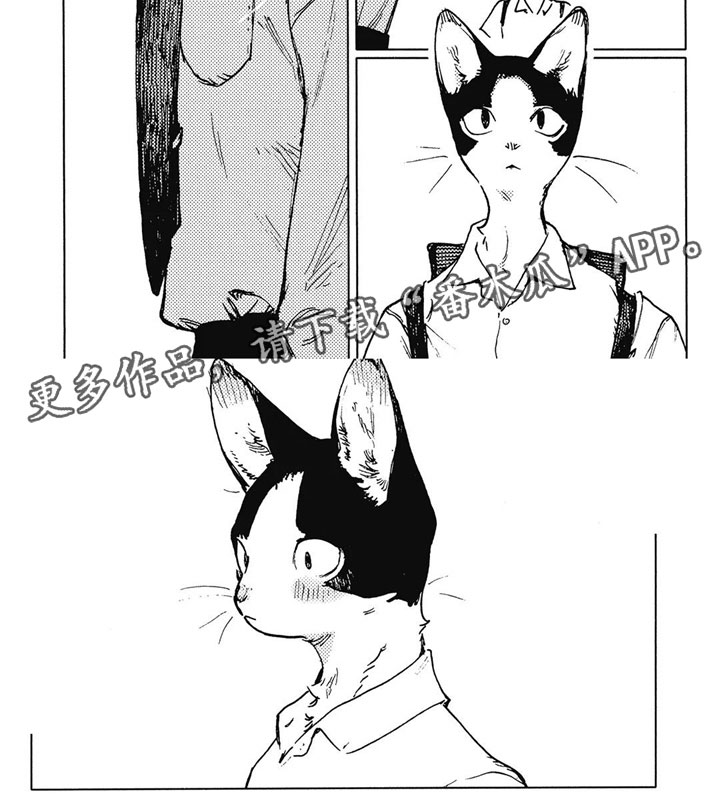 单调蓝猫男-第23章：我喜欢他？全彩韩漫标签