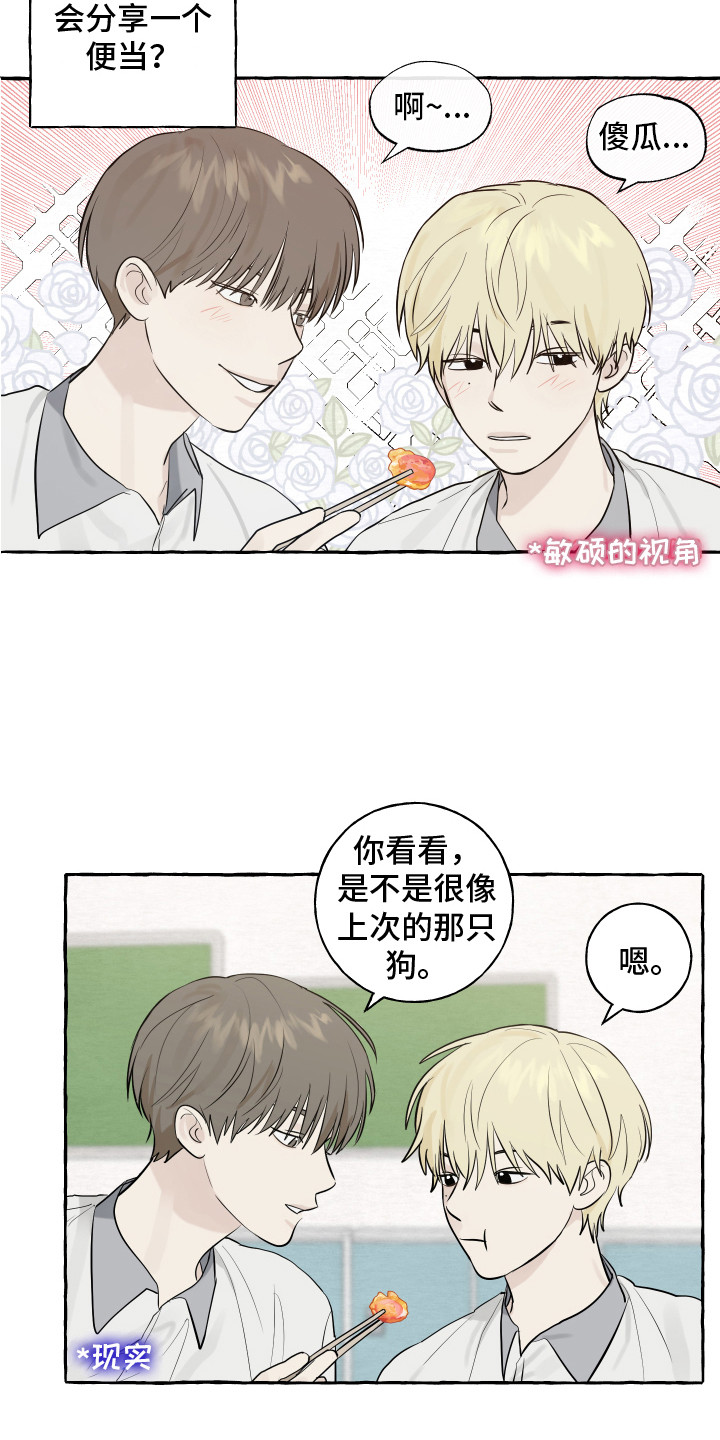 《热烈明阳》漫画最新章节第8章：小狗免费下拉式在线观看章节第【6】张图片