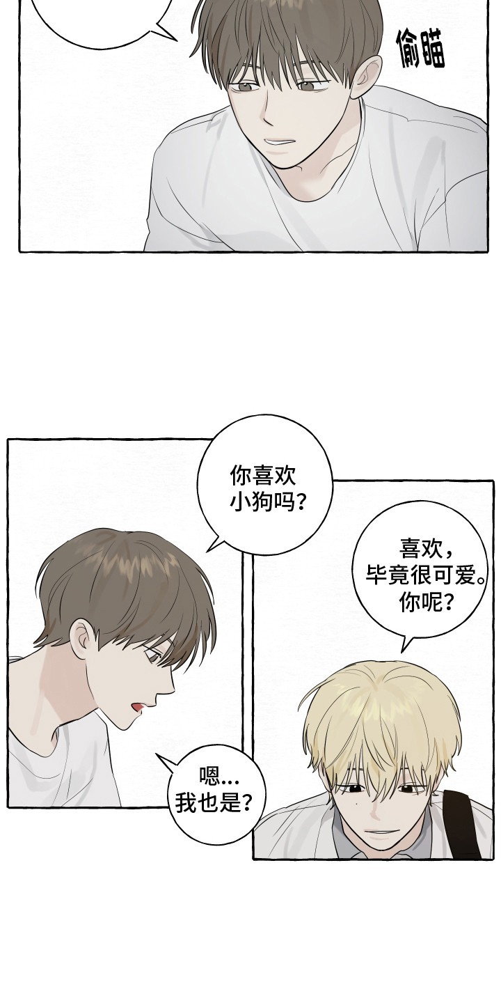 《热烈明阳》漫画最新章节第8章：小狗免费下拉式在线观看章节第【9】张图片