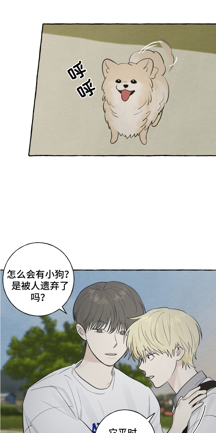 《热烈明阳》漫画最新章节第8章：小狗免费下拉式在线观看章节第【11】张图片