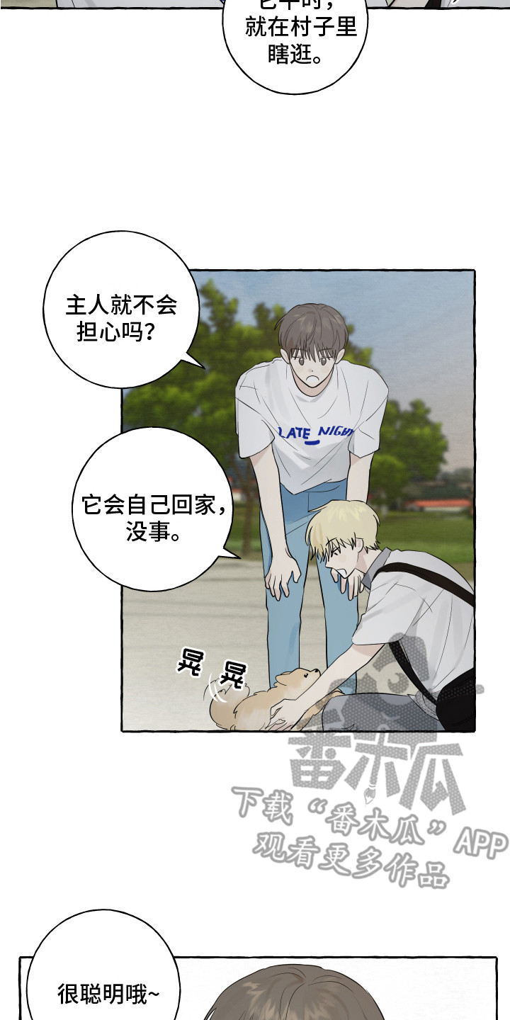 《热烈明阳》漫画最新章节第8章：小狗免费下拉式在线观看章节第【10】张图片