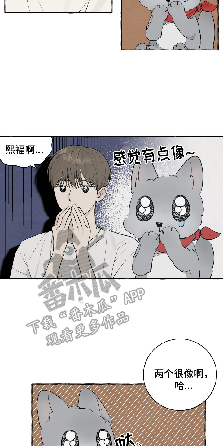 《热烈明阳》漫画最新章节第10章：对视免费下拉式在线观看章节第【11】张图片