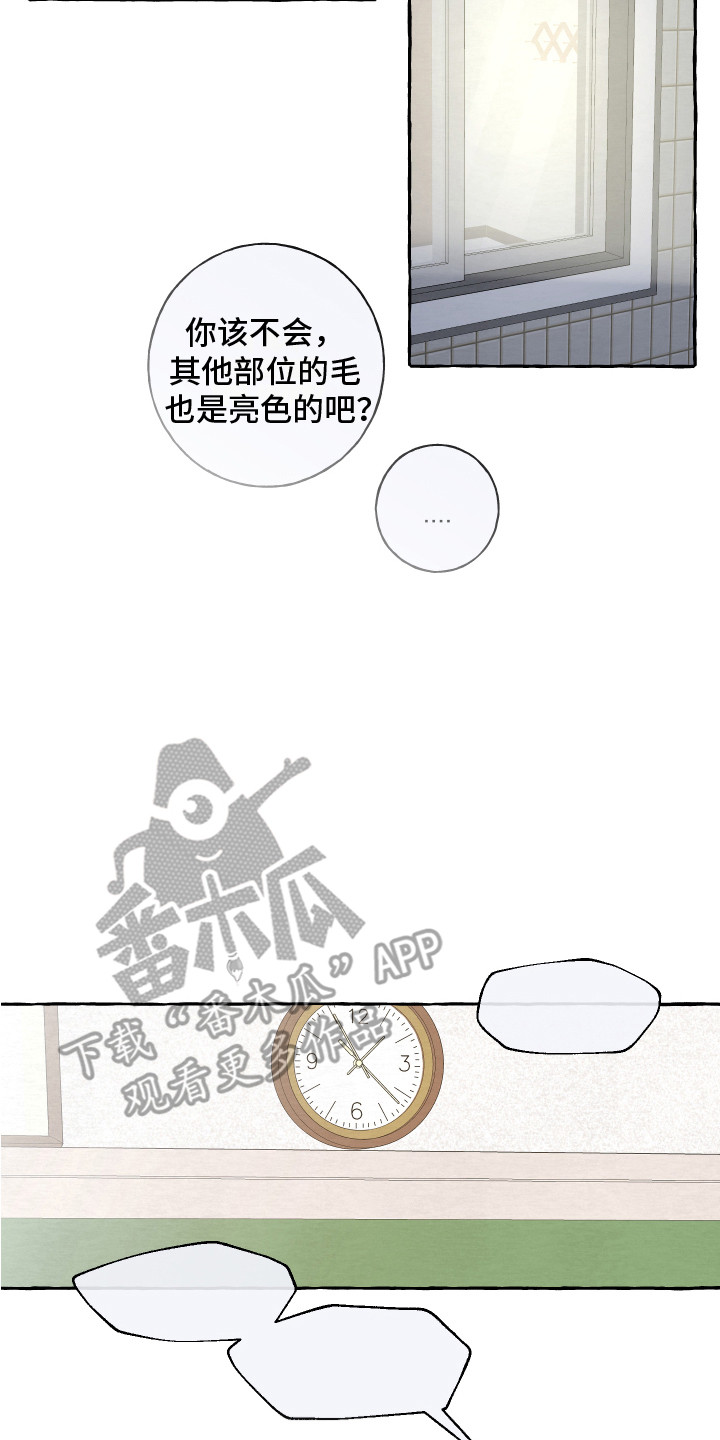 《热烈明阳》漫画最新章节第10章：对视免费下拉式在线观看章节第【5】张图片