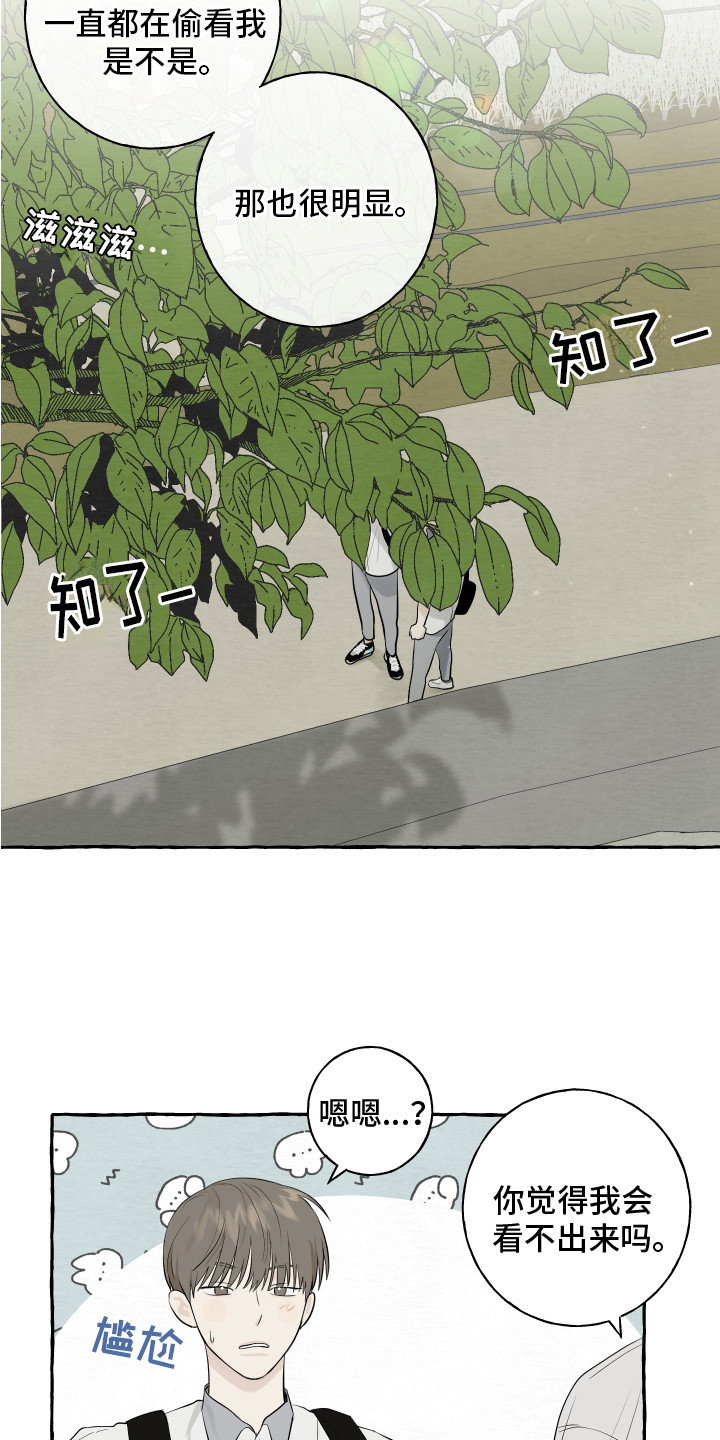 《热烈明阳》漫画最新章节第11章：疑惑免费下拉式在线观看章节第【3】张图片