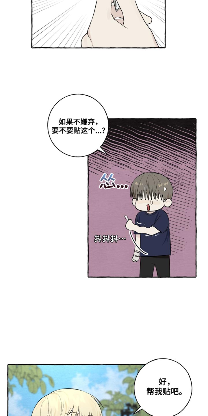 《热烈明阳》漫画最新章节第39章：命运免费下拉式在线观看章节第【5】张图片