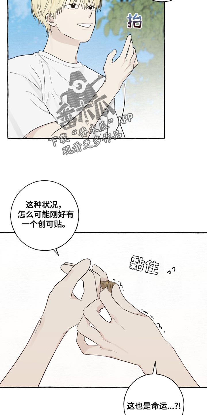 《热烈明阳》漫画最新章节第39章：命运免费下拉式在线观看章节第【4】张图片