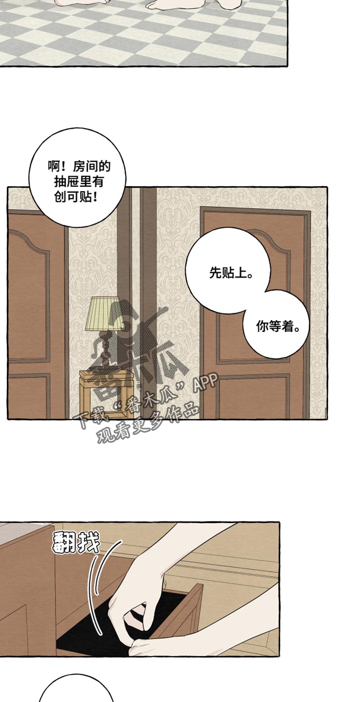 《热烈明阳》漫画最新章节第49章：觉得很像你免费下拉式在线观看章节第【6】张图片