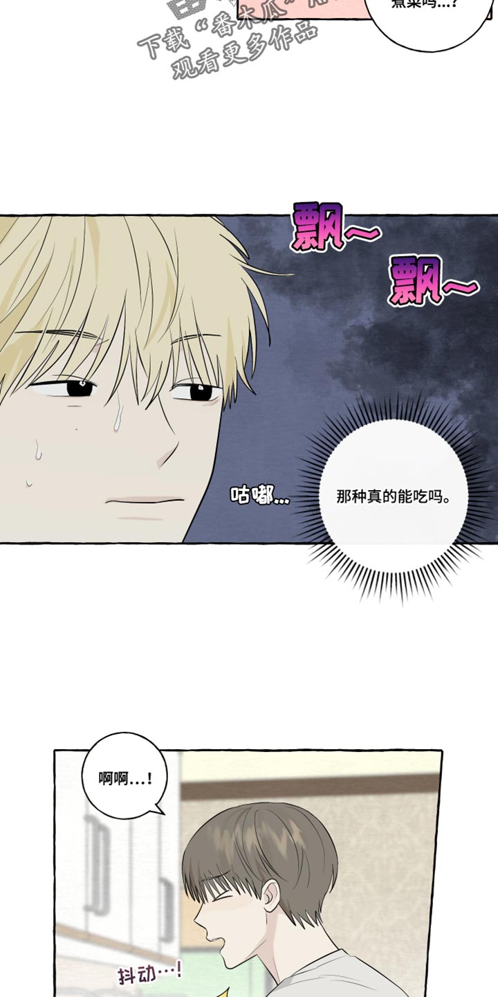 《热烈明阳》漫画最新章节第49章：觉得很像你免费下拉式在线观看章节第【8】张图片