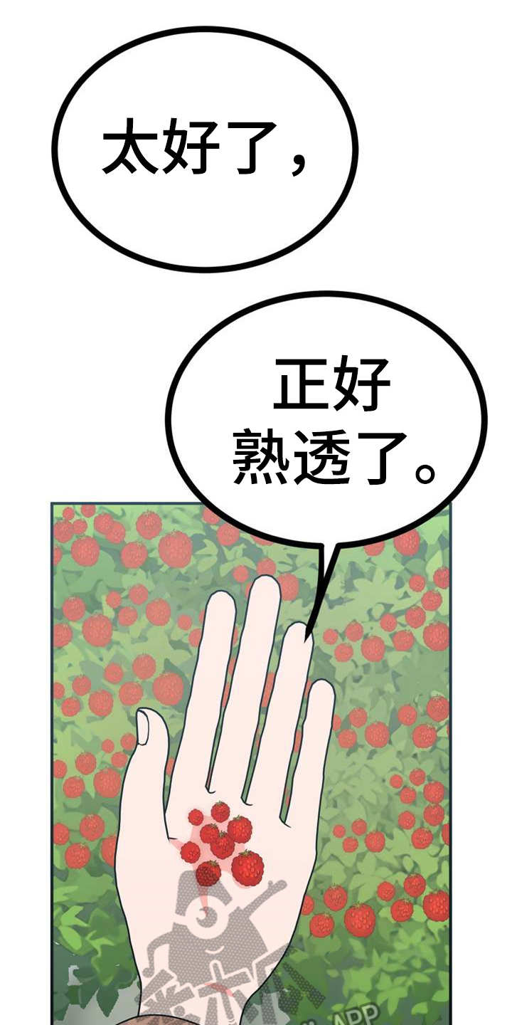 《梅中香》漫画最新章节第21章：采摘免费下拉式在线观看章节第【18】张图片