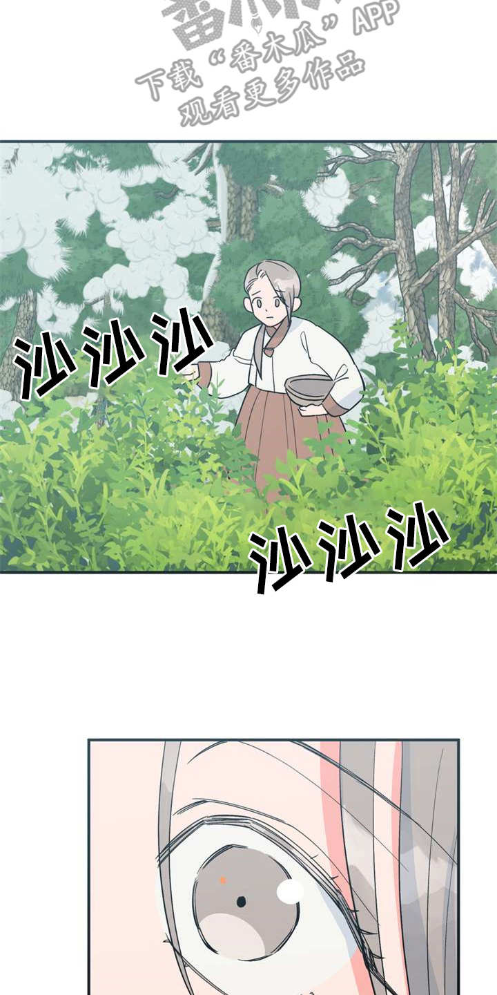 《梅中香》漫画最新章节第21章：采摘免费下拉式在线观看章节第【21】张图片