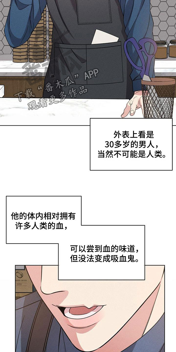 《渴血纠缠》漫画最新章节第37章：幻影族免费下拉式在线观看章节第【15】张图片