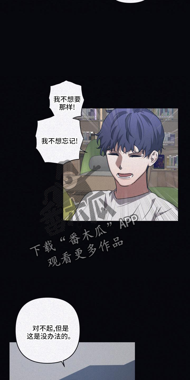 《浪漫的命运》漫画最新章节第96章：【第二季】成为大人免费下拉式在线观看章节第【13】张图片