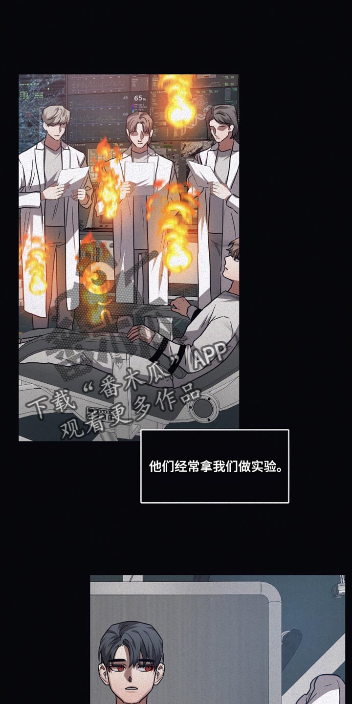 《浪漫的命运》漫画最新章节第134章：【第二季】牵引免费下拉式在线观看章节第【17】张图片