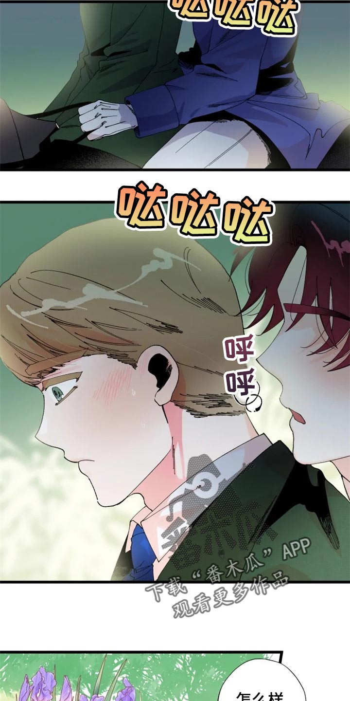 《挽回真爱》漫画最新章节第19章：骑马免费下拉式在线观看章节第【3】张图片