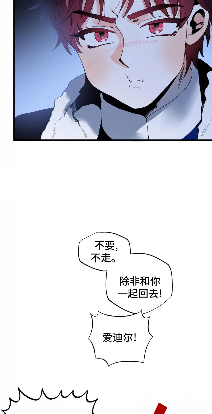 《挽回真爱》漫画最新章节第72章：不听话的笨蛋免费下拉式在线观看章节第【5】张图片