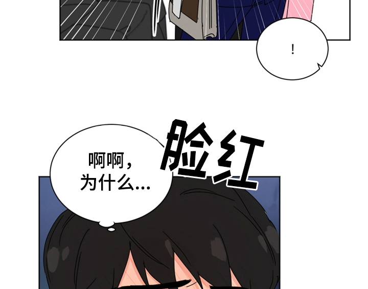 《错误配对》漫画最新章节第2章：命运安排免费下拉式在线观看章节第【11】张图片