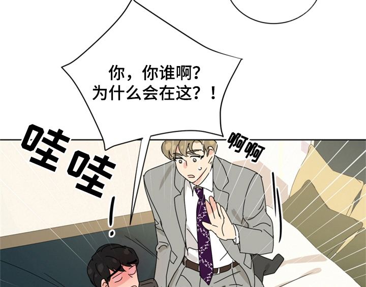 《错误配对》漫画最新章节第9章：要求免费下拉式在线观看章节第【18】张图片