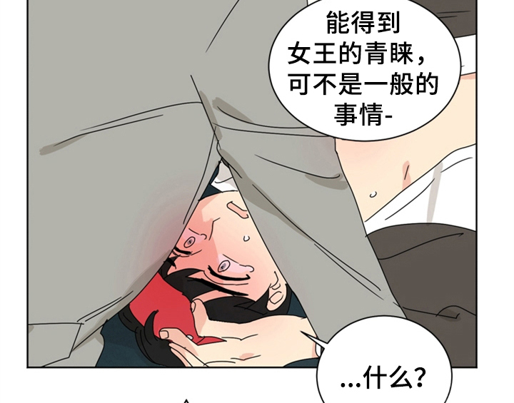 《错误配对》漫画最新章节第9章：要求免费下拉式在线观看章节第【19】张图片