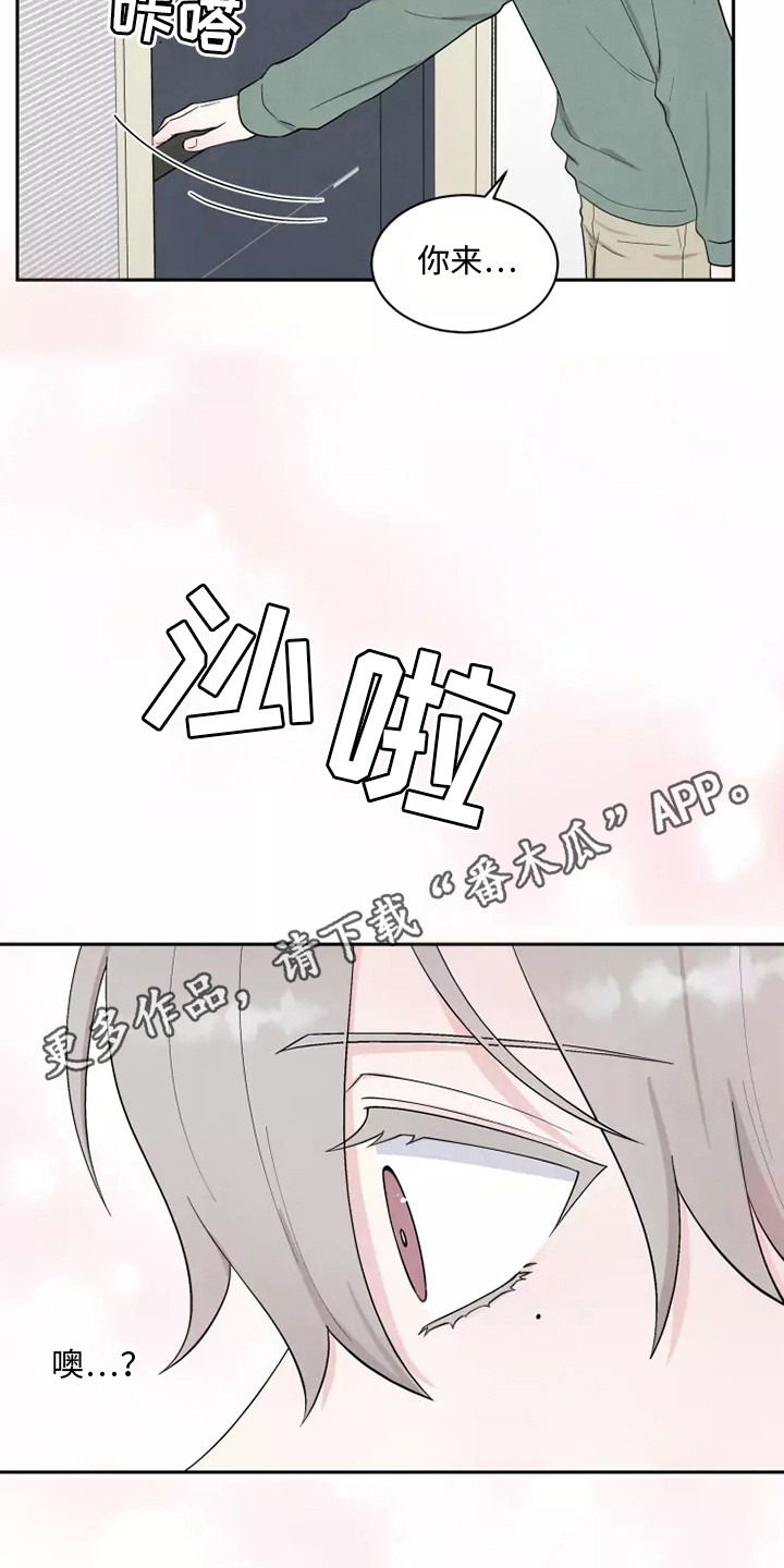 《缘分注定》漫画最新章节第8章：求婚免费下拉式在线观看章节第【14】张图片