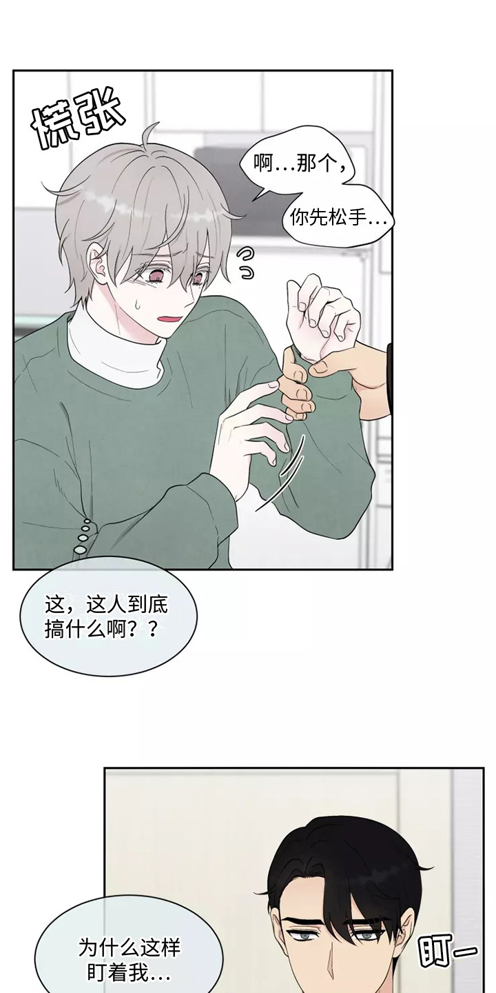 《缘分注定》漫画最新章节第8章：求婚免费下拉式在线观看章节第【5】张图片