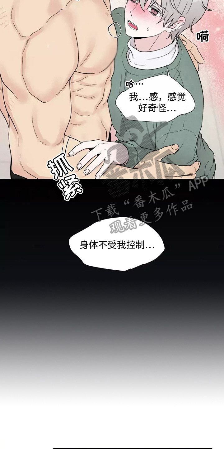 《缘分注定》漫画最新章节第10章：难以置信免费下拉式在线观看章节第【3】张图片