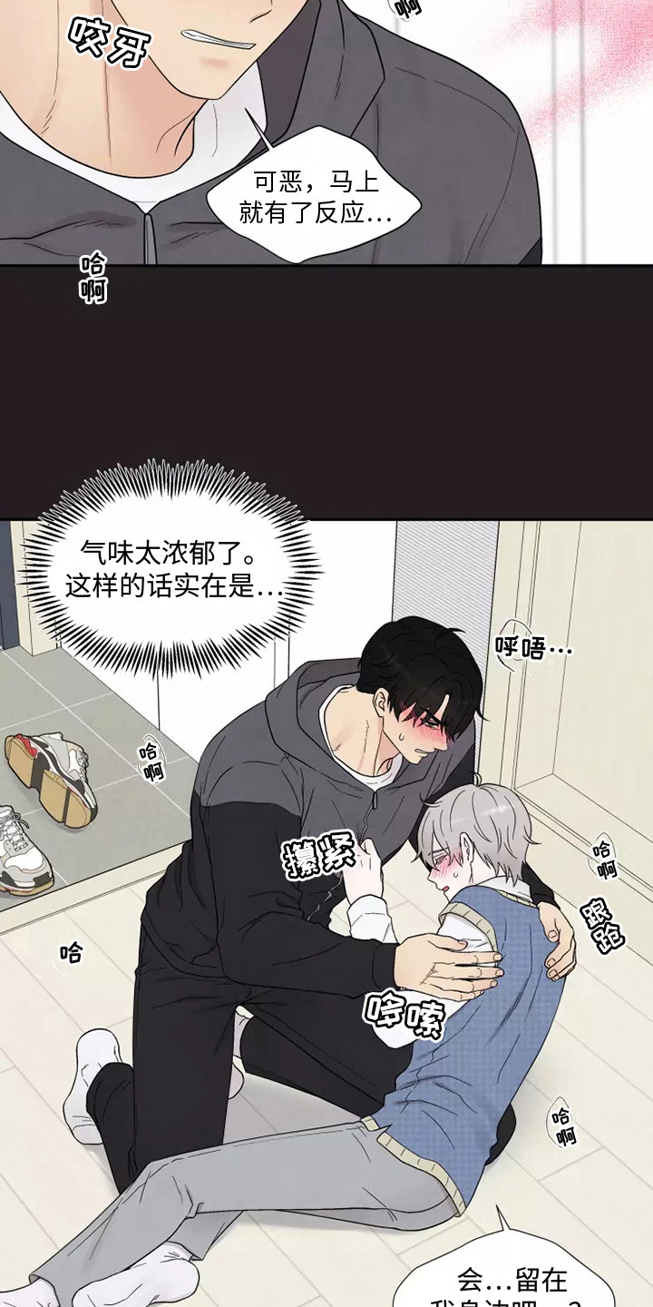 《缘分注定》漫画最新章节第10章：难以置信免费下拉式在线观看章节第【25】张图片