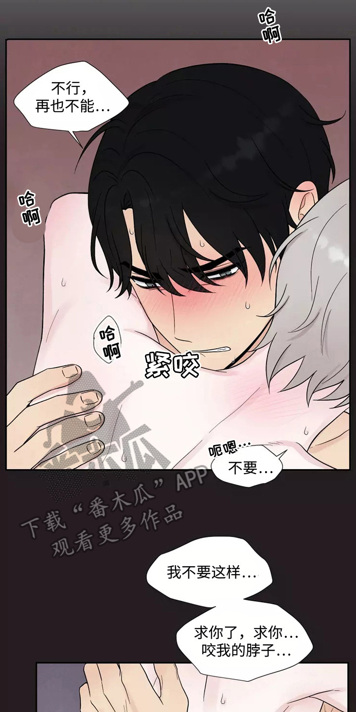 《缘分注定》漫画最新章节第10章：难以置信免费下拉式在线观看章节第【12】张图片