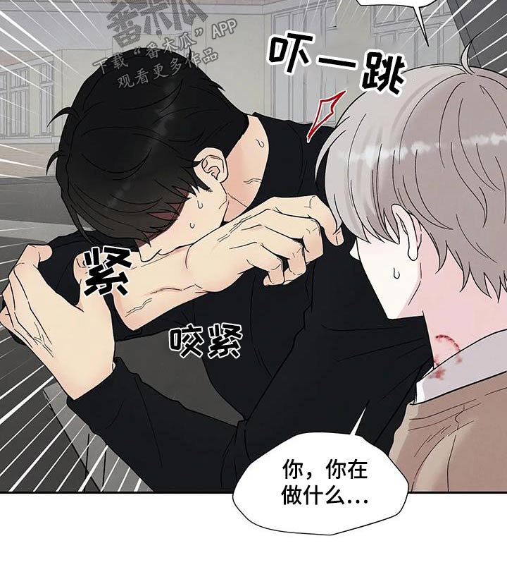 《缘分注定》漫画最新章节第38章：逃离免费下拉式在线观看章节第【14】张图片