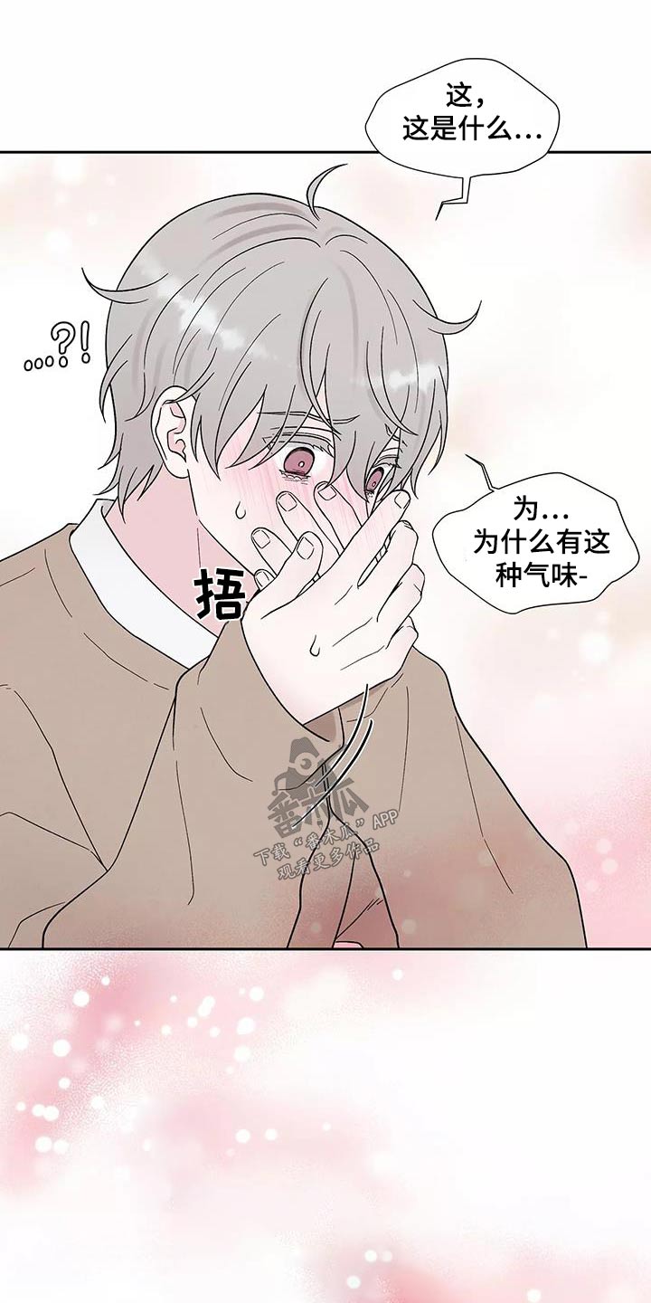 《缘分注定》漫画最新章节第40章：跟我回去免费下拉式在线观看章节第【20】张图片