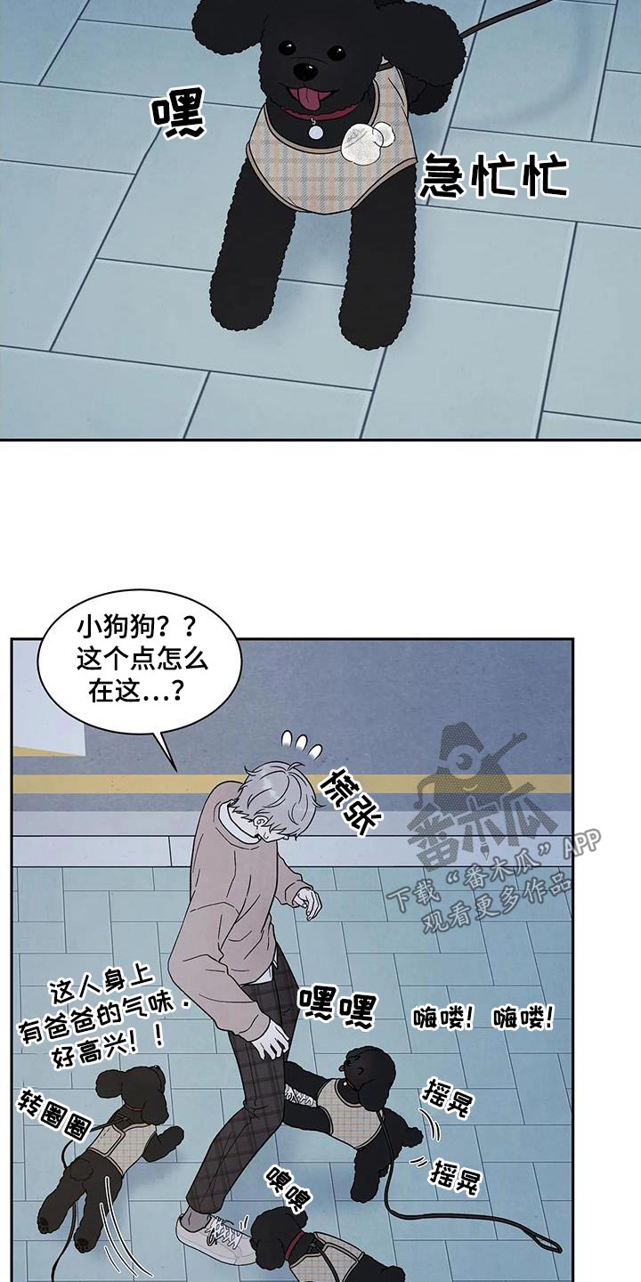 《缘分注定》漫画最新章节第43章：散步免费下拉式在线观看章节第【13】张图片