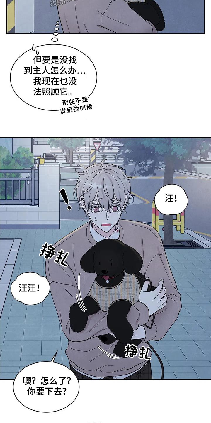 《缘分注定》漫画最新章节第43章：散步免费下拉式在线观看章节第【9】张图片