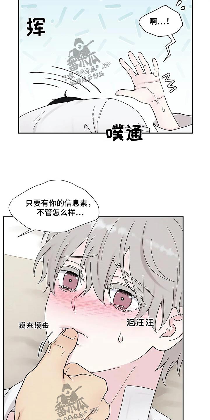 《缘分注定》漫画最新章节第51章：昏倒免费下拉式在线观看章节第【13】张图片