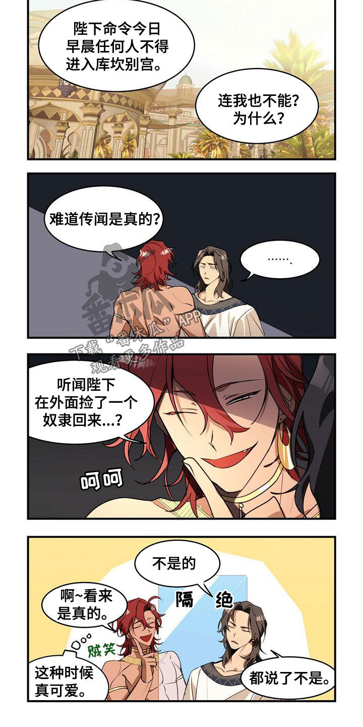 《异界苦力征程》漫画最新章节第11章：打听免费下拉式在线观看章节第【3】张图片