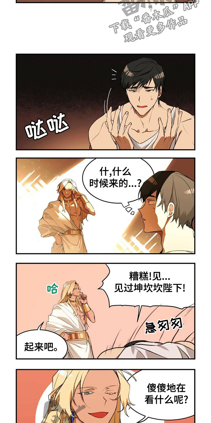 《异界苦力征程》漫画最新章节第13章：不相信爱情免费下拉式在线观看章节第【8】张图片