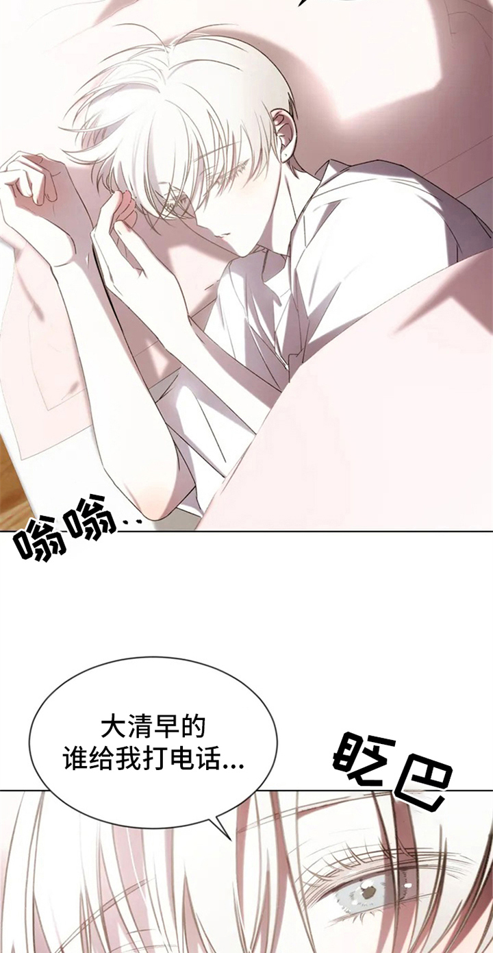 《暴动的追随》漫画最新章节第1章：调查免费下拉式在线观看章节第【3】张图片