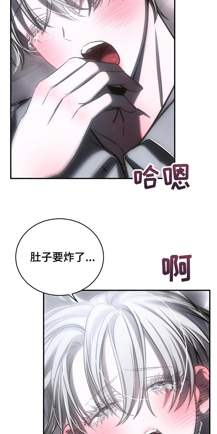 《暴动的追随》漫画最新章节第36章：真实的最好免费下拉式在线观看章节第【17】张图片