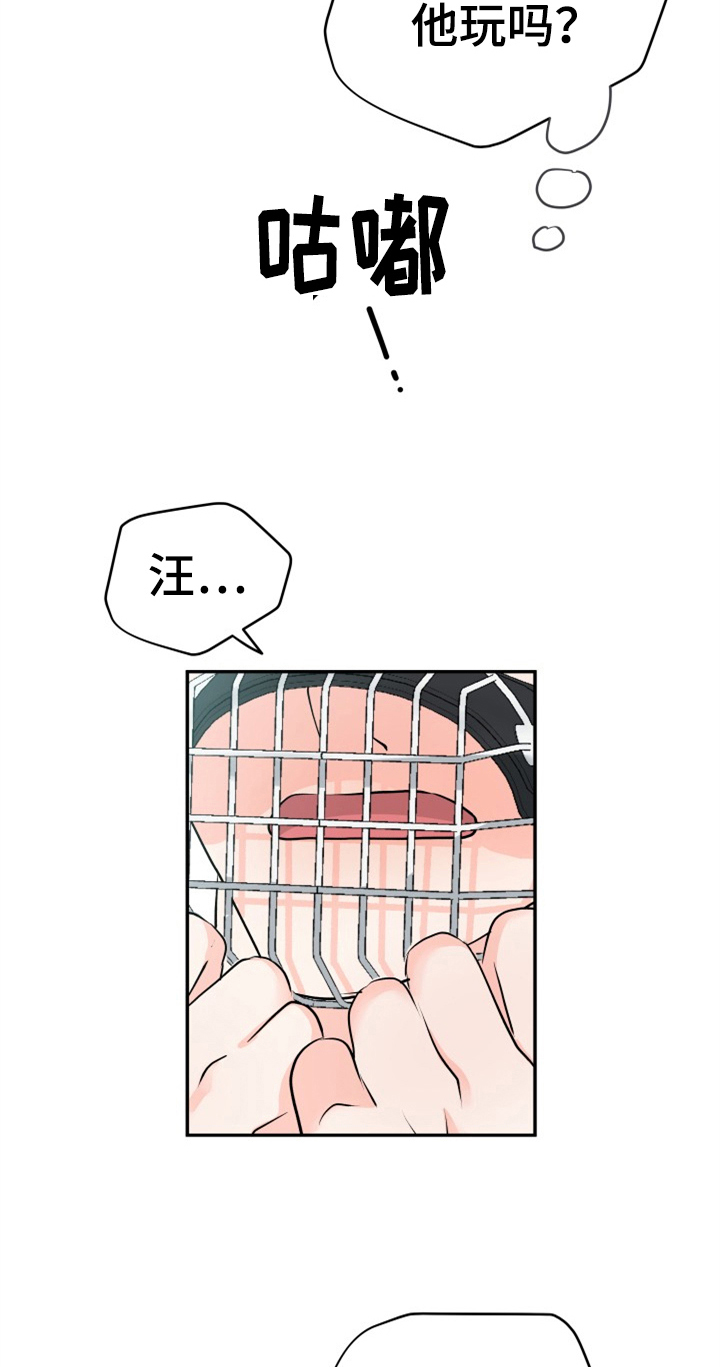 《交付完成》漫画最新章节第11章：合适免费下拉式在线观看章节第【16】张图片