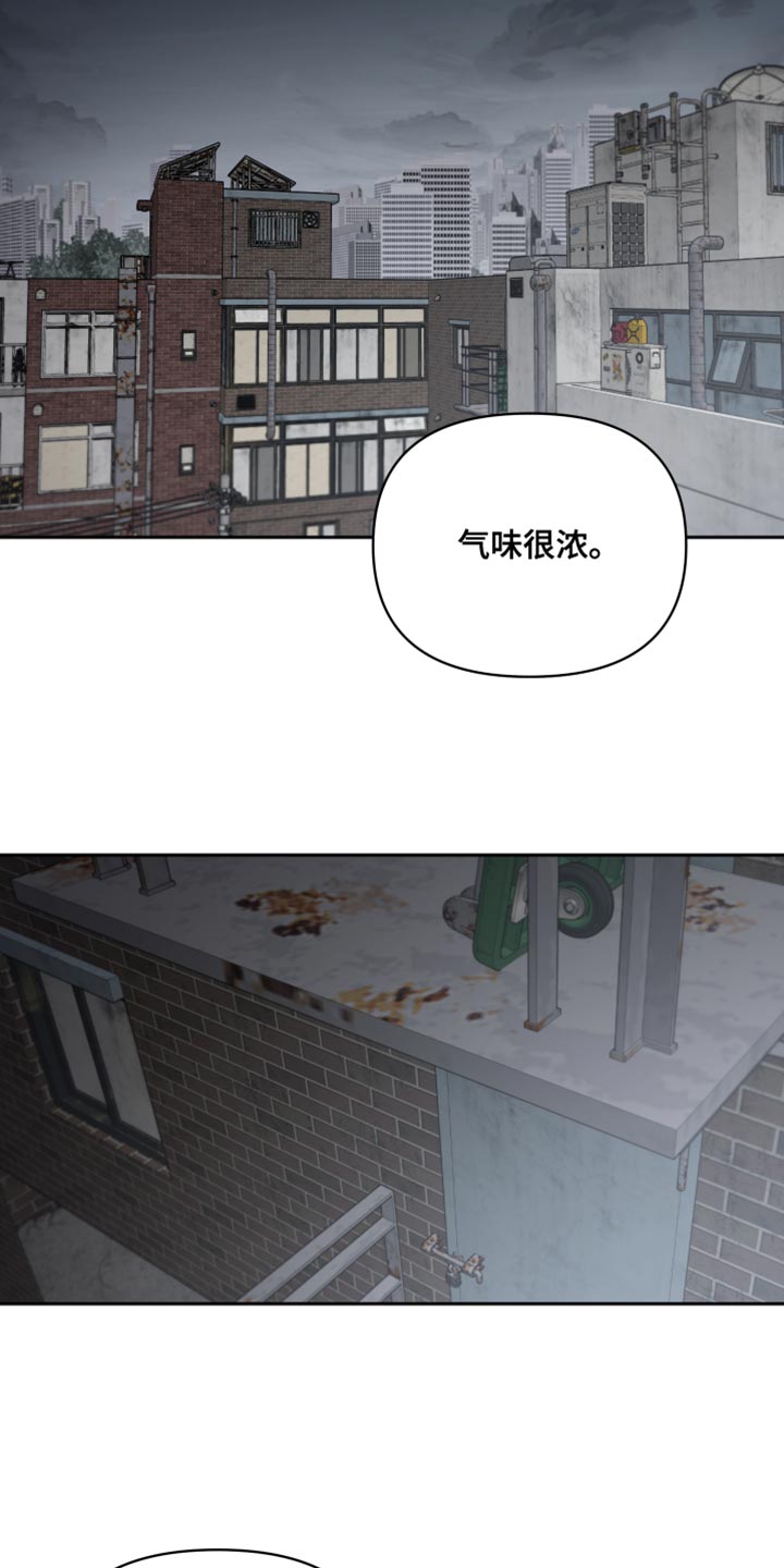 《狼人与血族》漫画最新章节第74章：找到了免费下拉式在线观看章节第【15】张图片