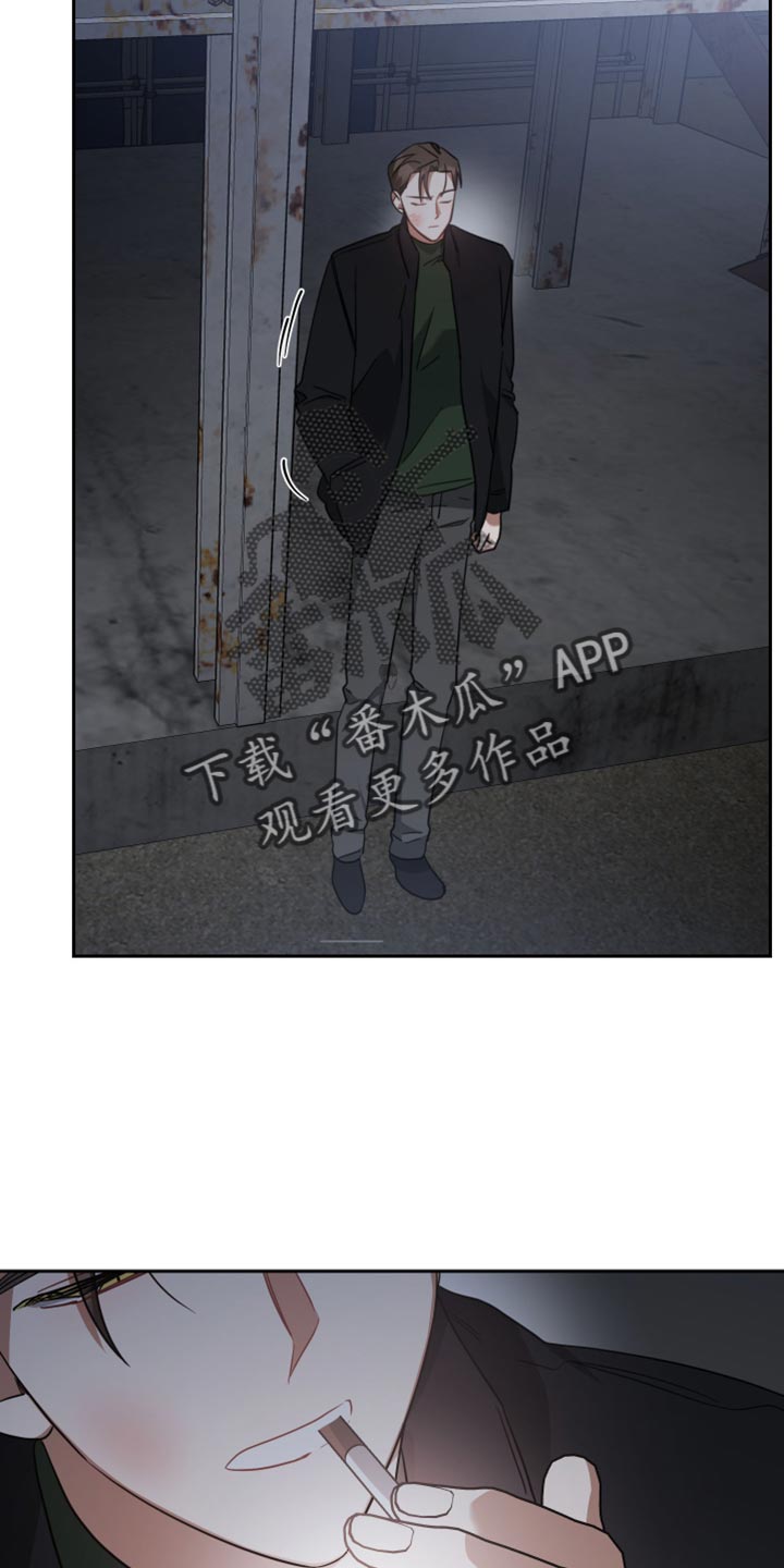 《狼人与血族》漫画最新章节第76章：等着我的信号免费下拉式在线观看章节第【20】张图片