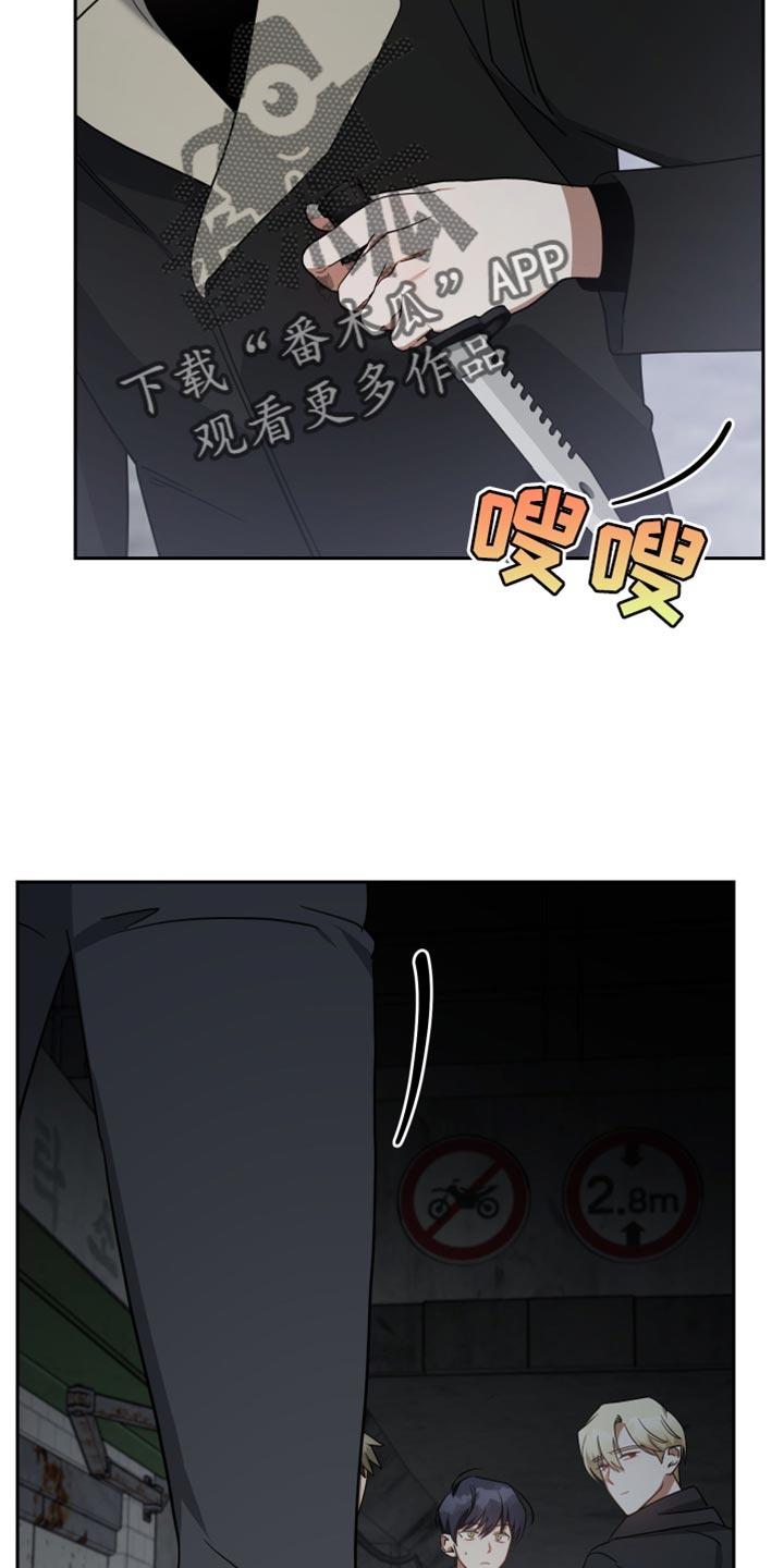 《狼人与血族》漫画最新章节第78章：承担后果免费下拉式在线观看章节第【4】张图片