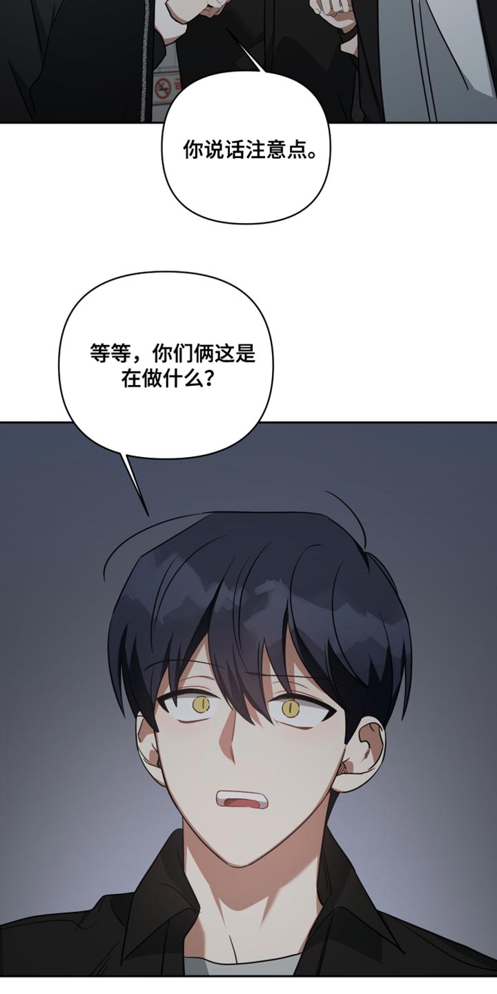 《狼人与血族》漫画最新章节第78章：承担后果免费下拉式在线观看章节第【16】张图片